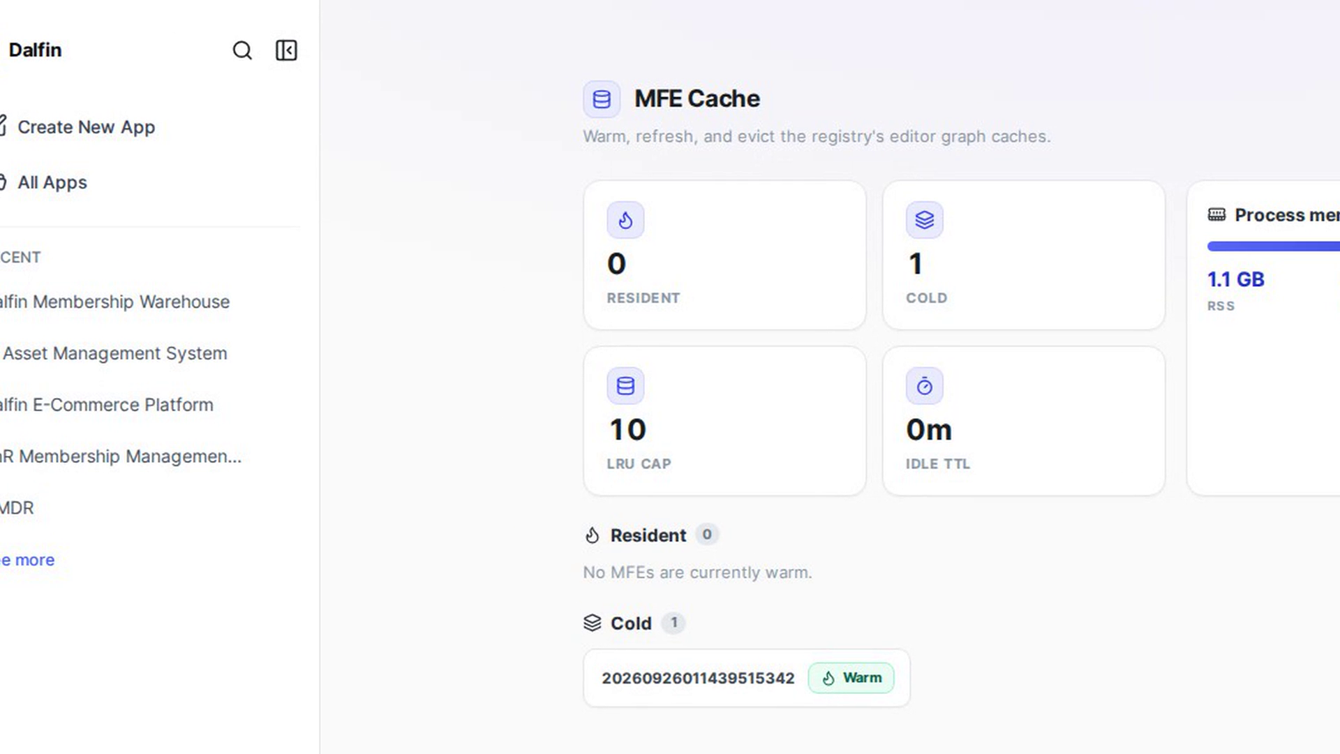 Open the MFE cache